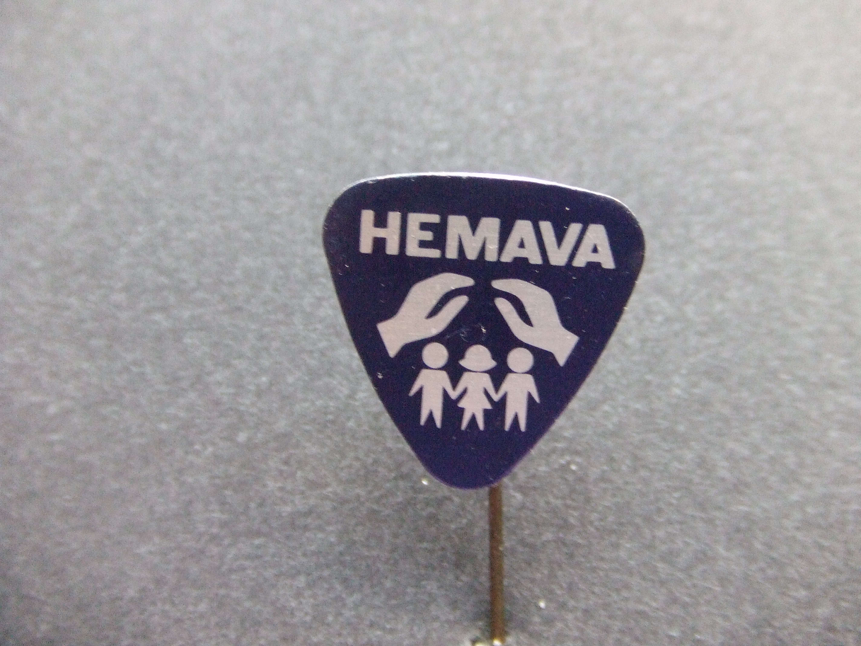 HEMAVA (Heldring StichtingenZetten, Martha stichting Alphen ad Rijn,Valkenheide Maarn )kinderbescherming blauw